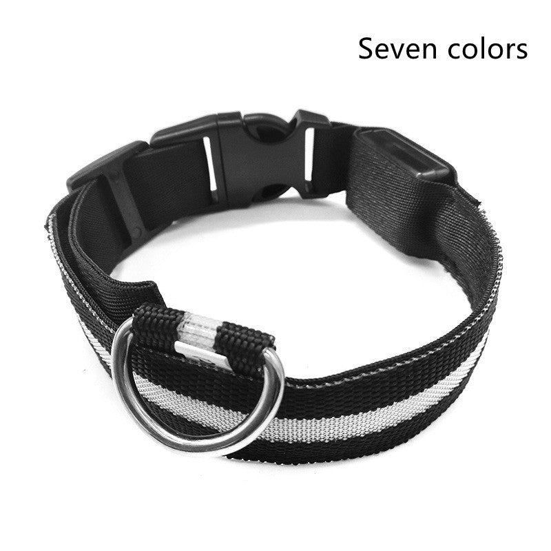 LED Light-Up Nylon Collar