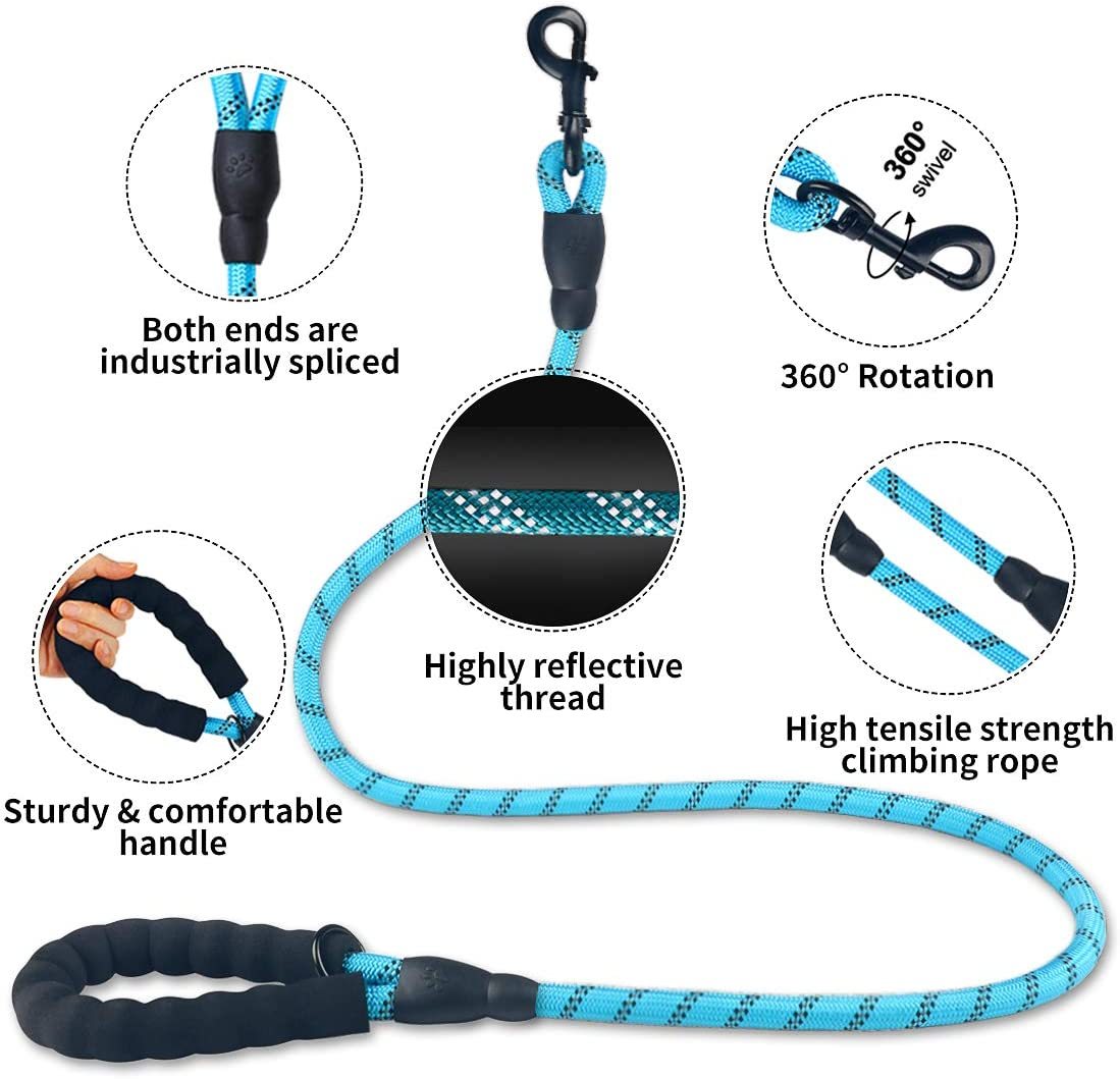 Luminous Dog Leash