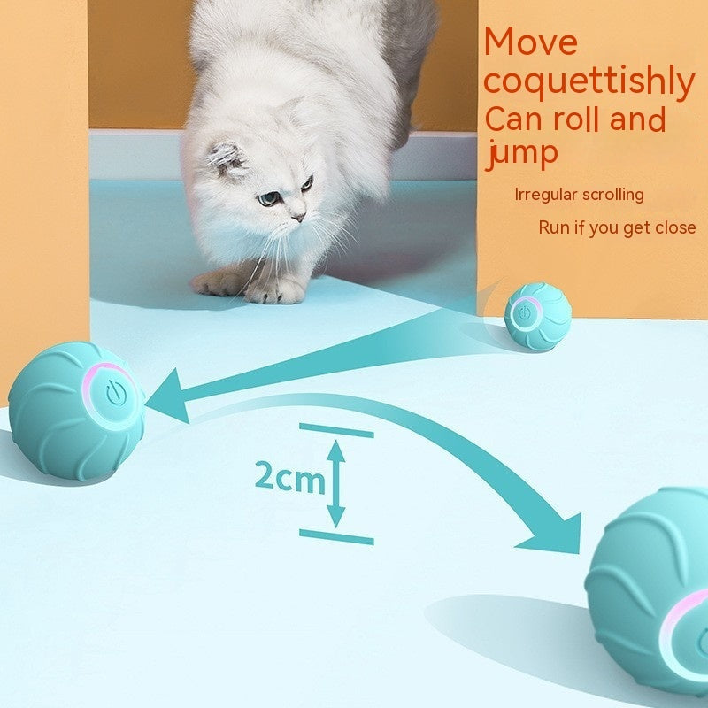 Smart Bouncing Cat Ball