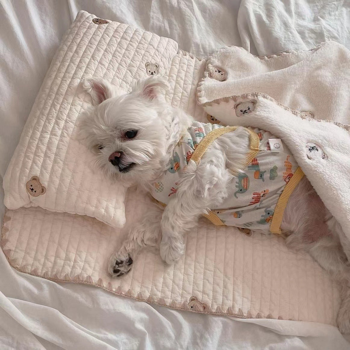 Fashion Square Mat Dog Bed