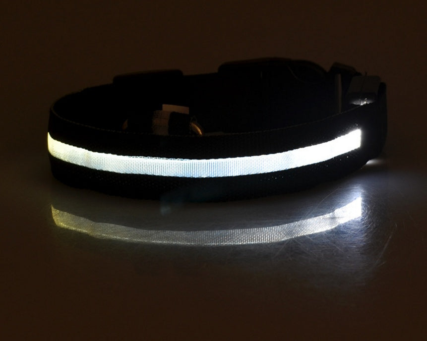 LED Light-Up Nylon Collar