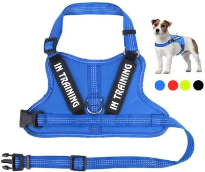 Personalized Pet Harness