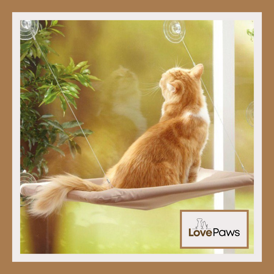 Window Mounted Cat Bed