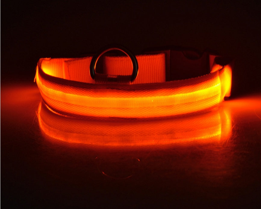 LED Light-Up Nylon Collar