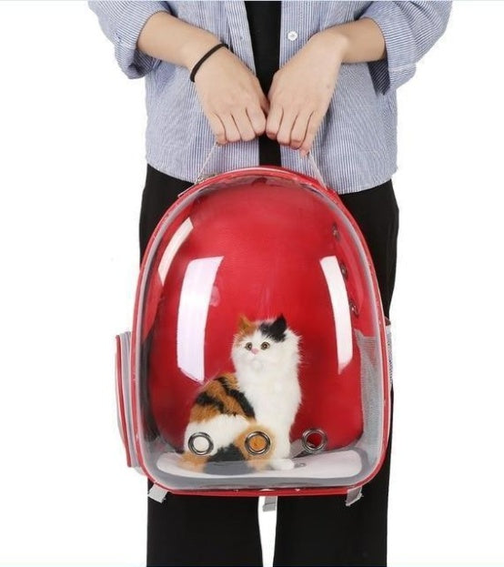 Full-Transparent Cat Space Backpack