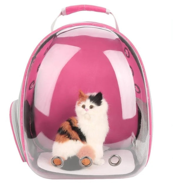 Full-Transparent Cat Space Backpack