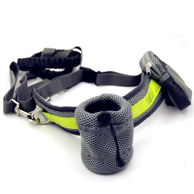 Adjustable Hands-Free Dog Leash