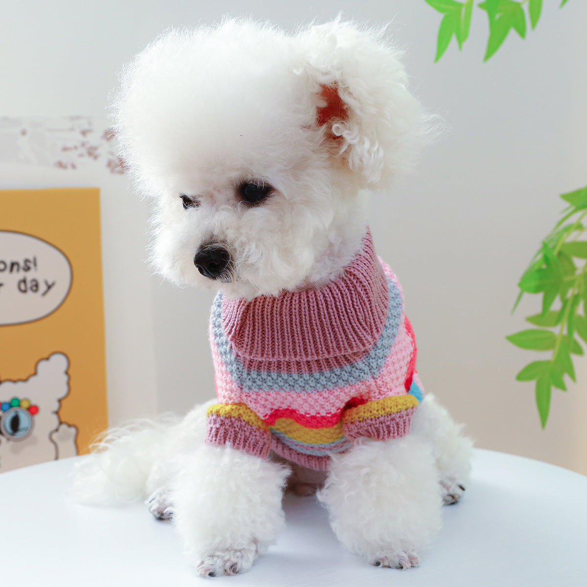 Colorful Striped Pet Sweater