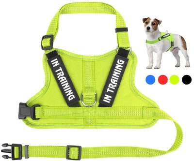 Personalized Pet Harness