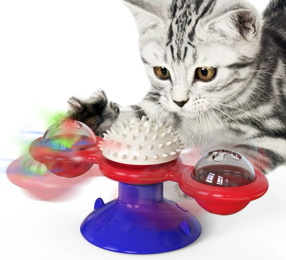 Cat Entertainment Set