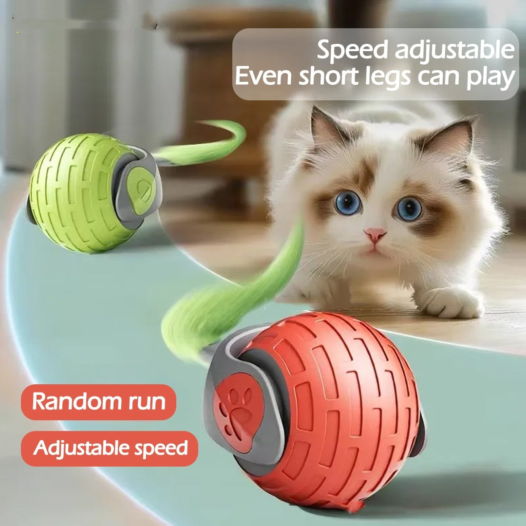 Smart Auto-Rolling Cat Toy Ball