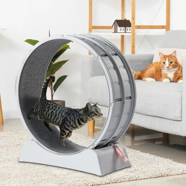 Cat Exercise Wheel
