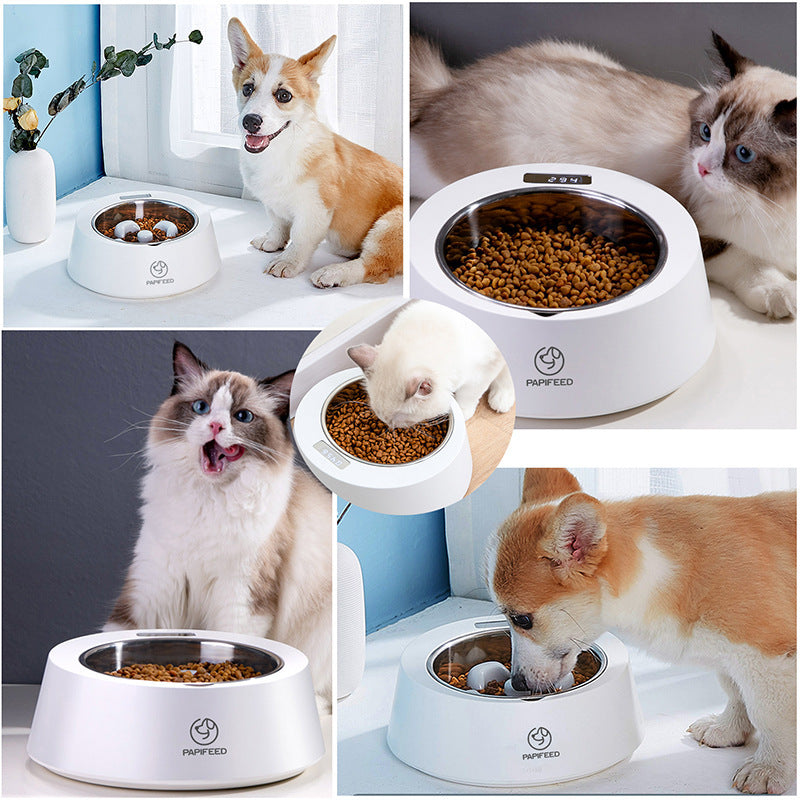 Smart Weighing Slow Feeder Bowl