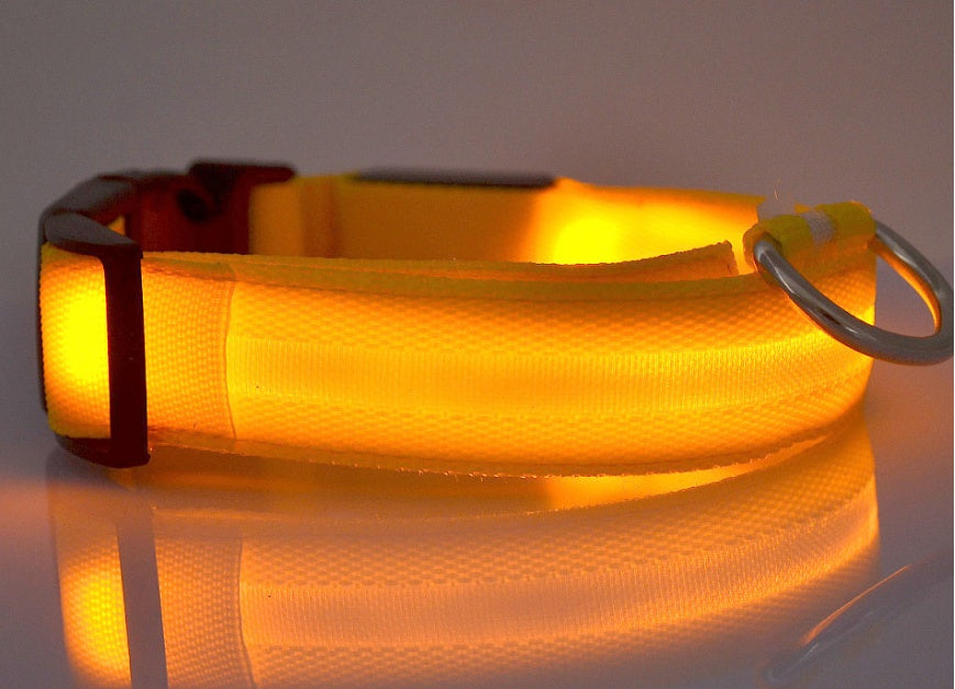 LED Light-Up Nylon Collar