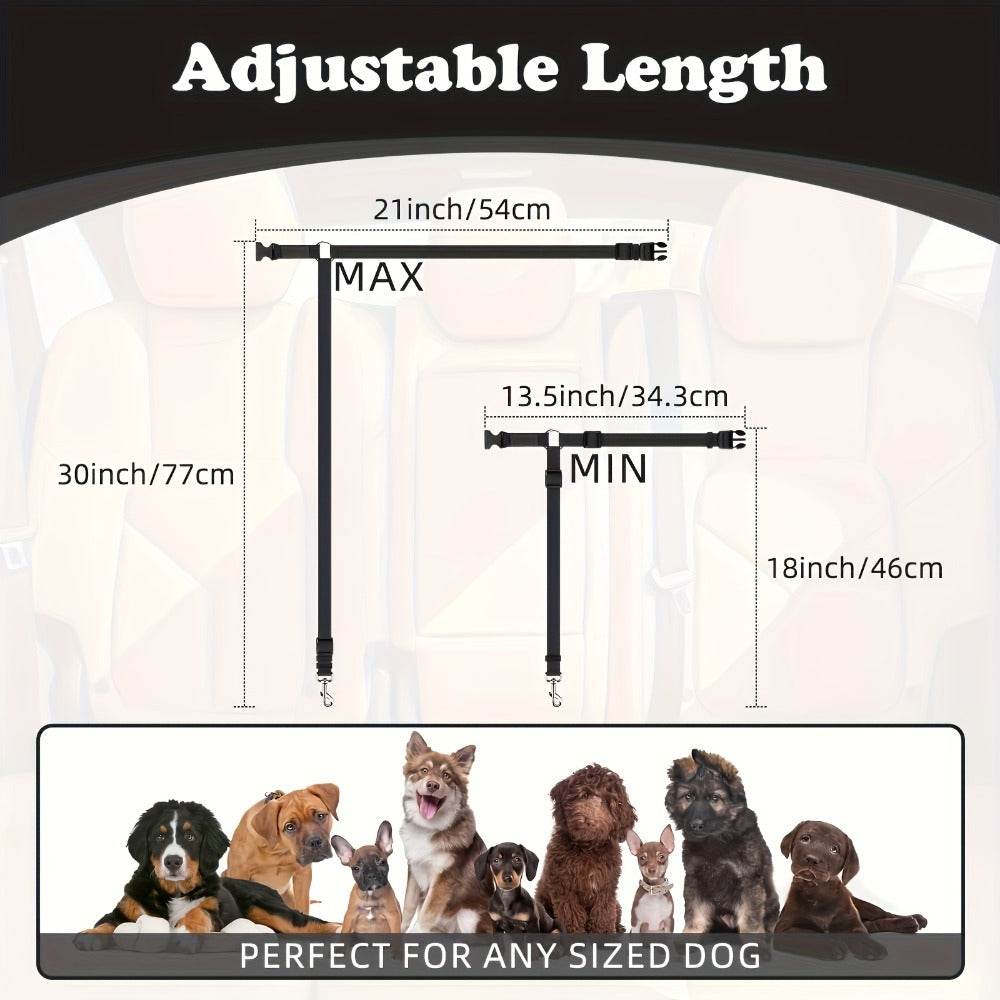 Adjustable Pet Harness & Leash Set