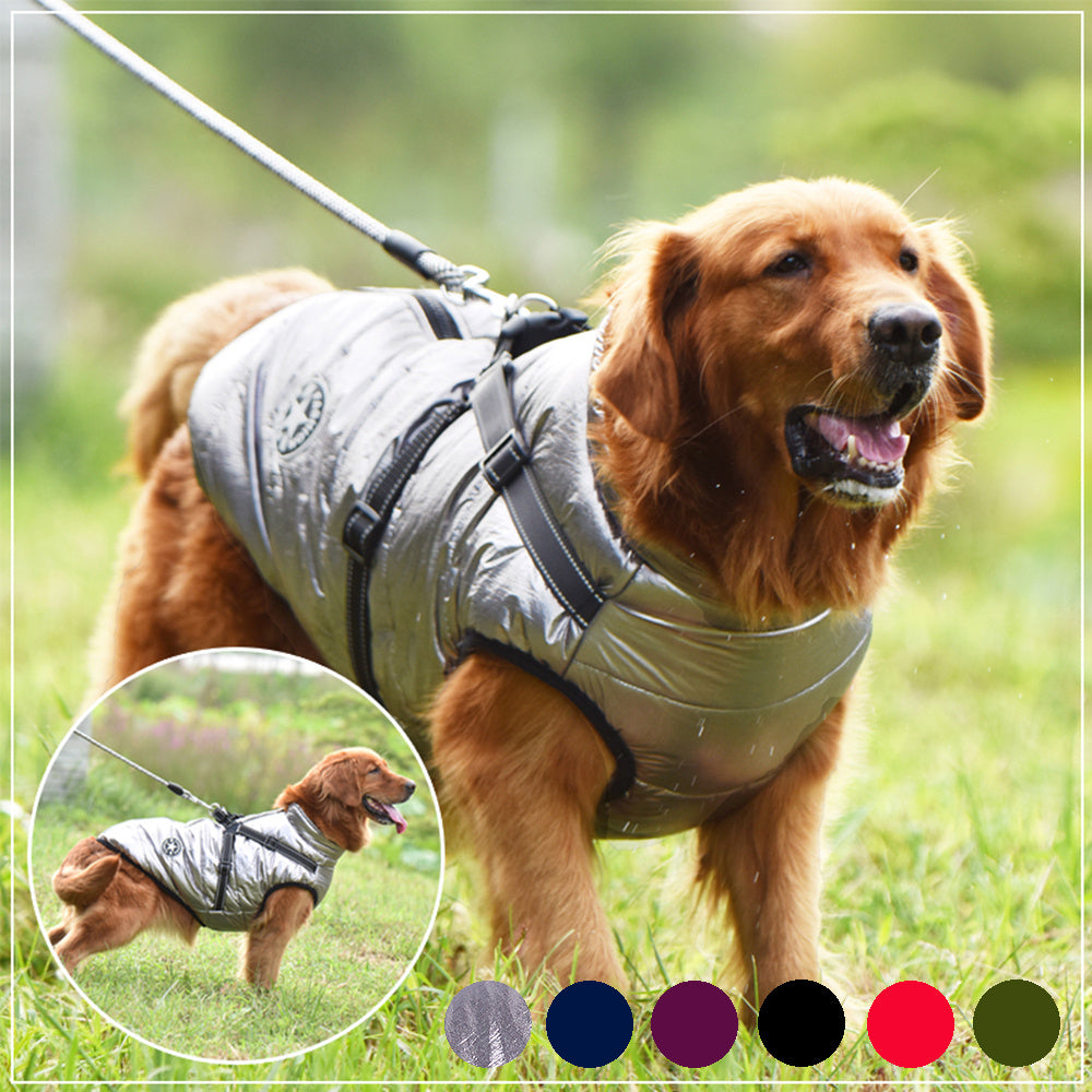 Waterproof Winter Dog Coat with Built-In Harness