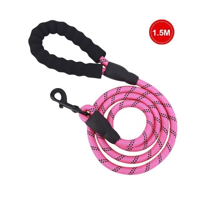 Luminous Dog Leash