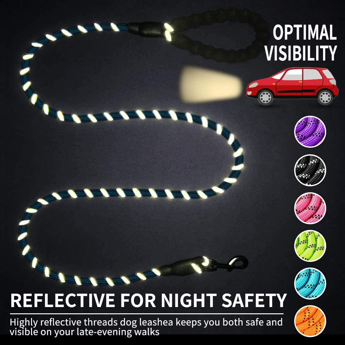Luminous Dog Leash