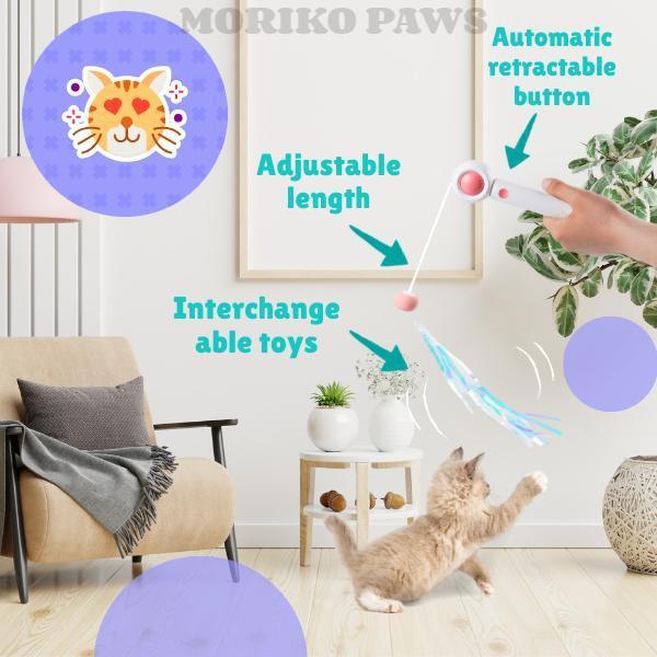 Retractable Cat Teaser Wand & Laser Toy
