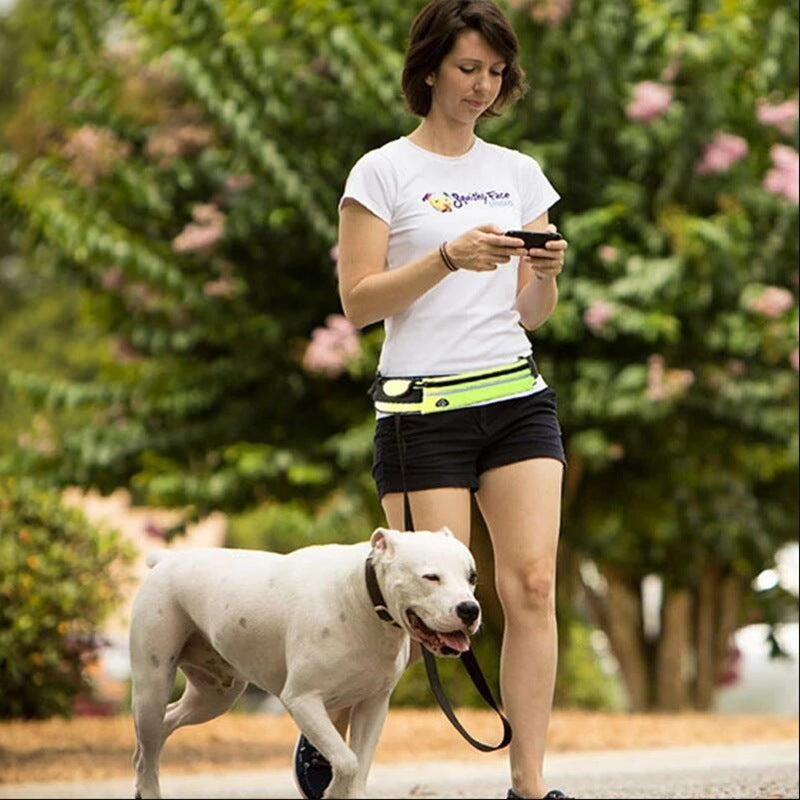 Hands-Free Dog Leash with Waist Belt
