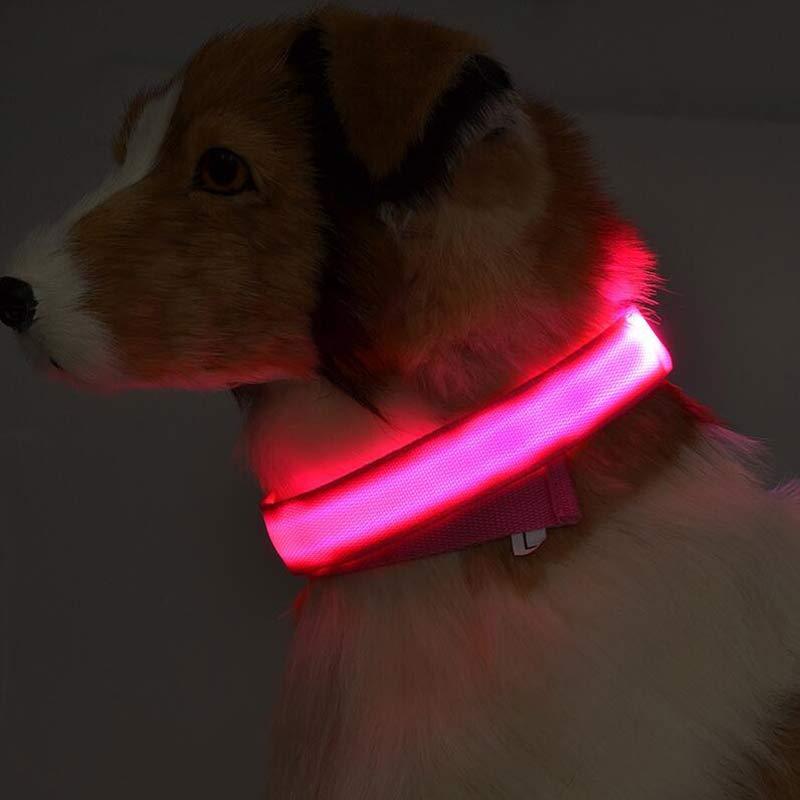 LED Light-Up Nylon Collar