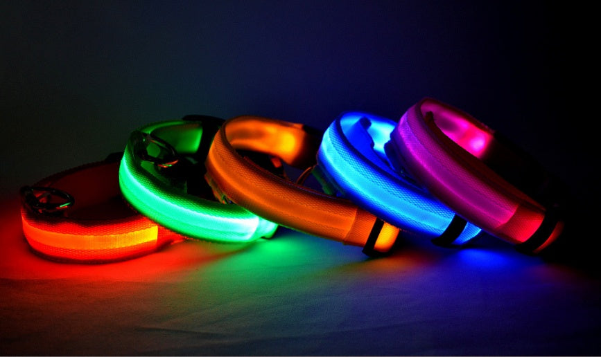 LED Light-Up Nylon Collar