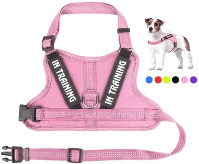 Personalized Pet Harness