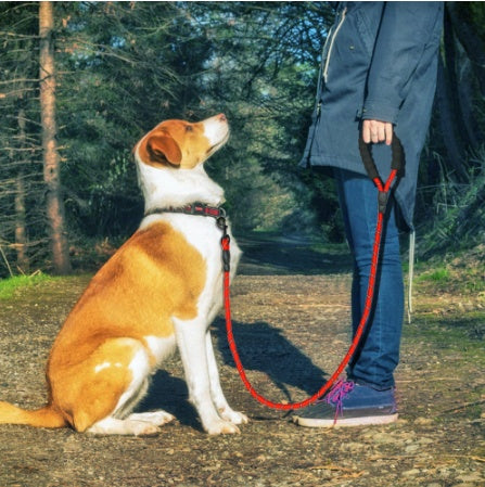 Reflective Dog Leash – Nylon Rope