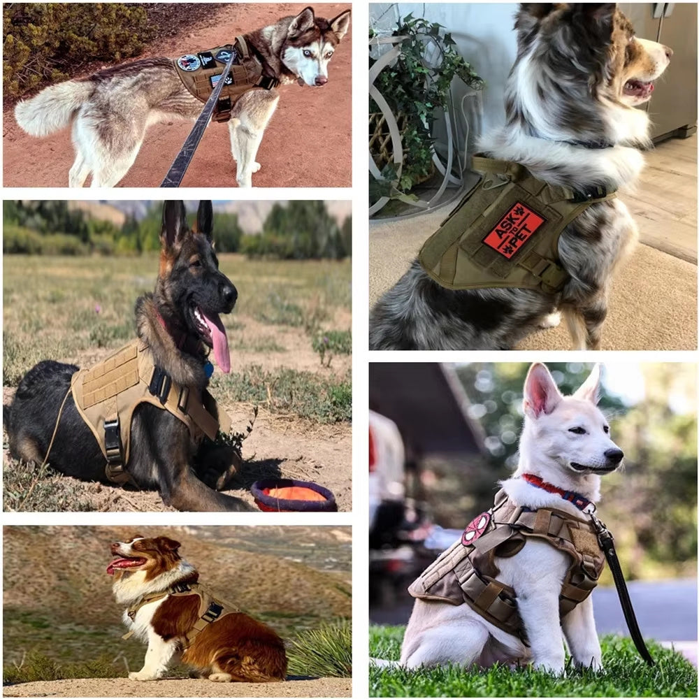 Tactical Dog Harness & Leash Set