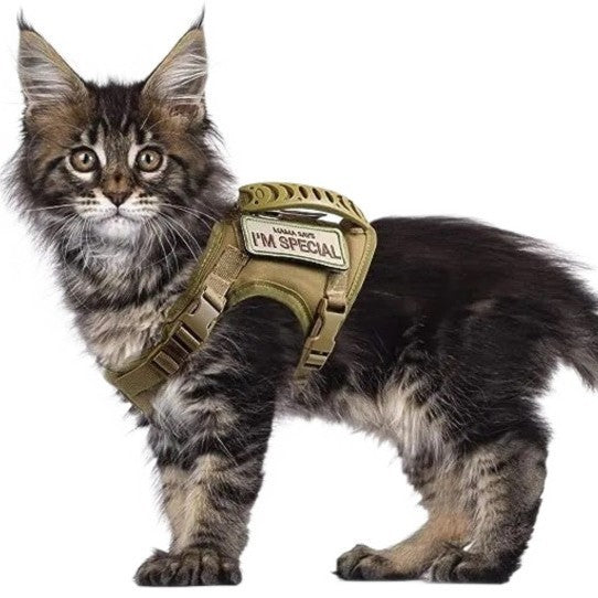 Cat Chest Strap Vest with Leash