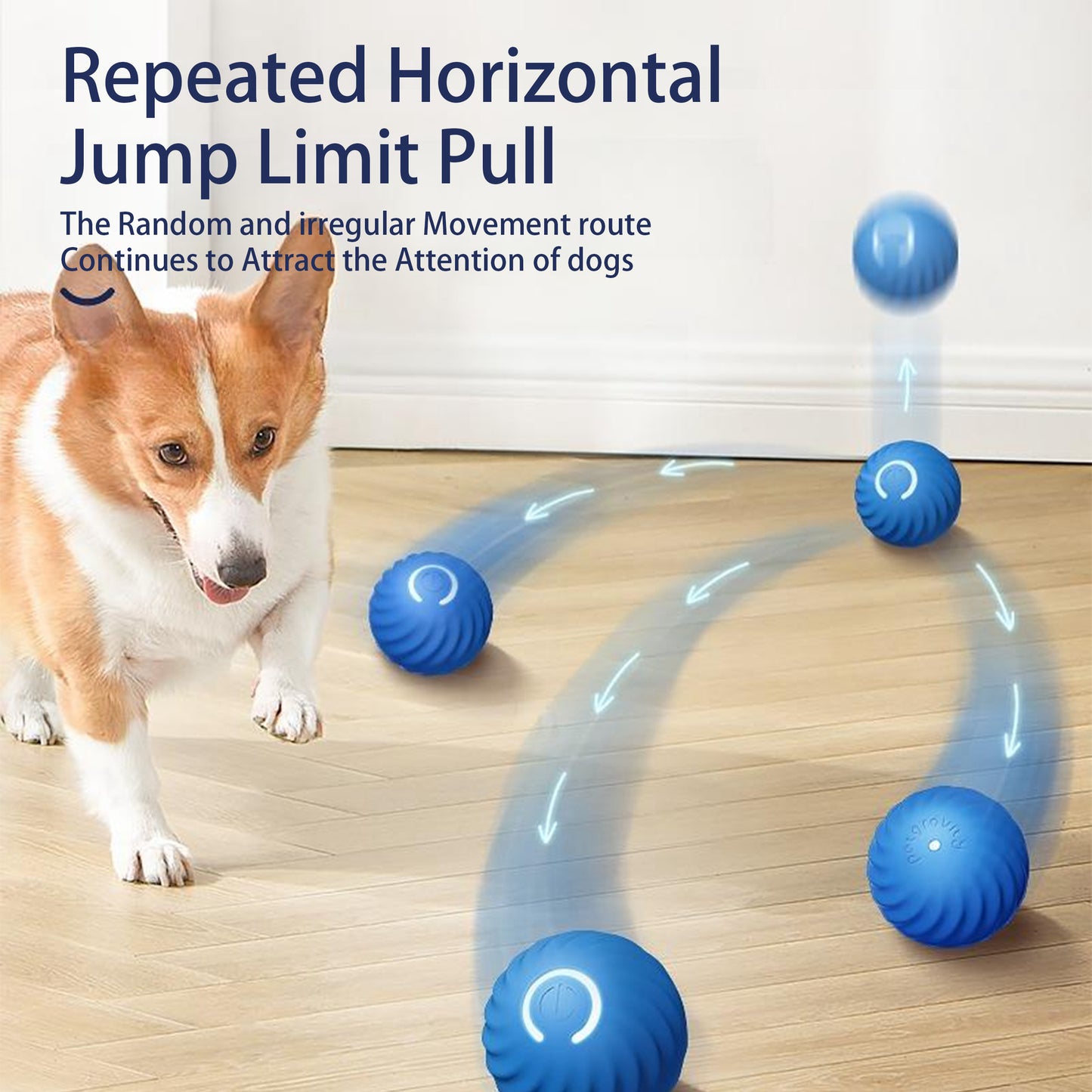 Interactive Bouncing Dog Ball