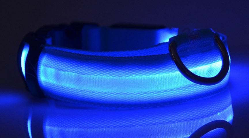 LED Light-Up Nylon Collar