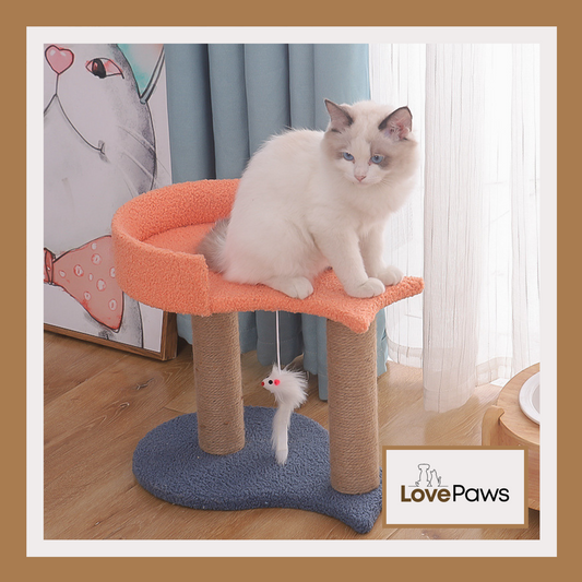 Cat Climbing Frame