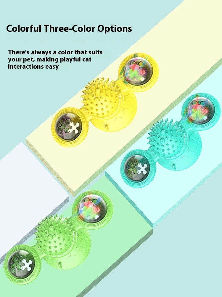 Cat Entertainment Set