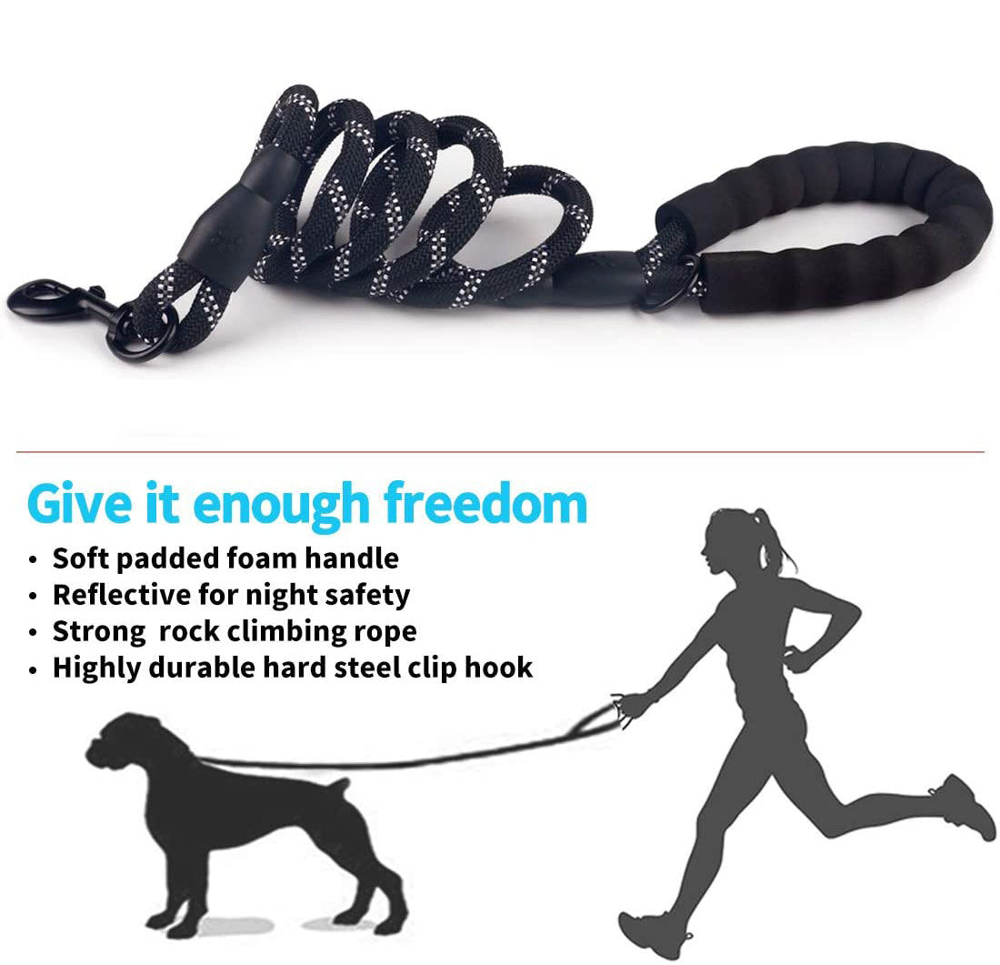 Luminous Dog Leash