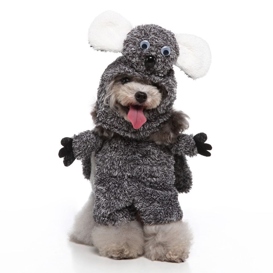 European & American Style Pet Costume Apparel