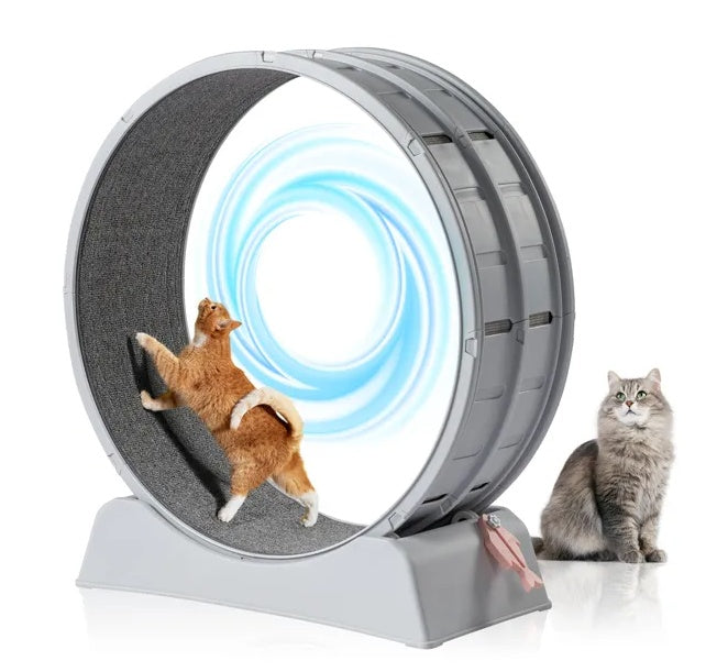 Cat Exercise Wheel