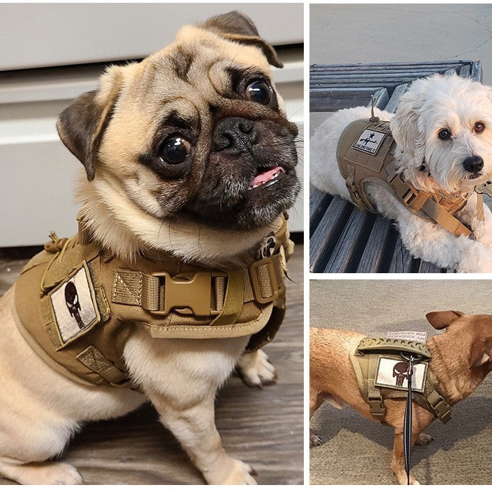 Cat Chest Strap Vest with Leash