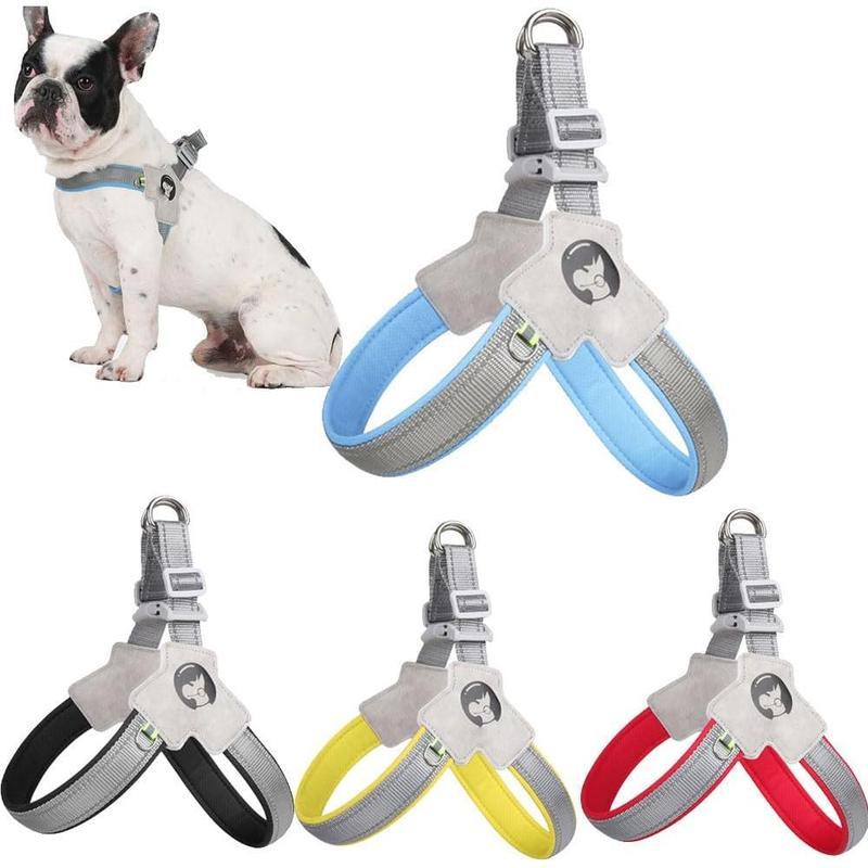 Adjustable Pet Harness & Leash Set