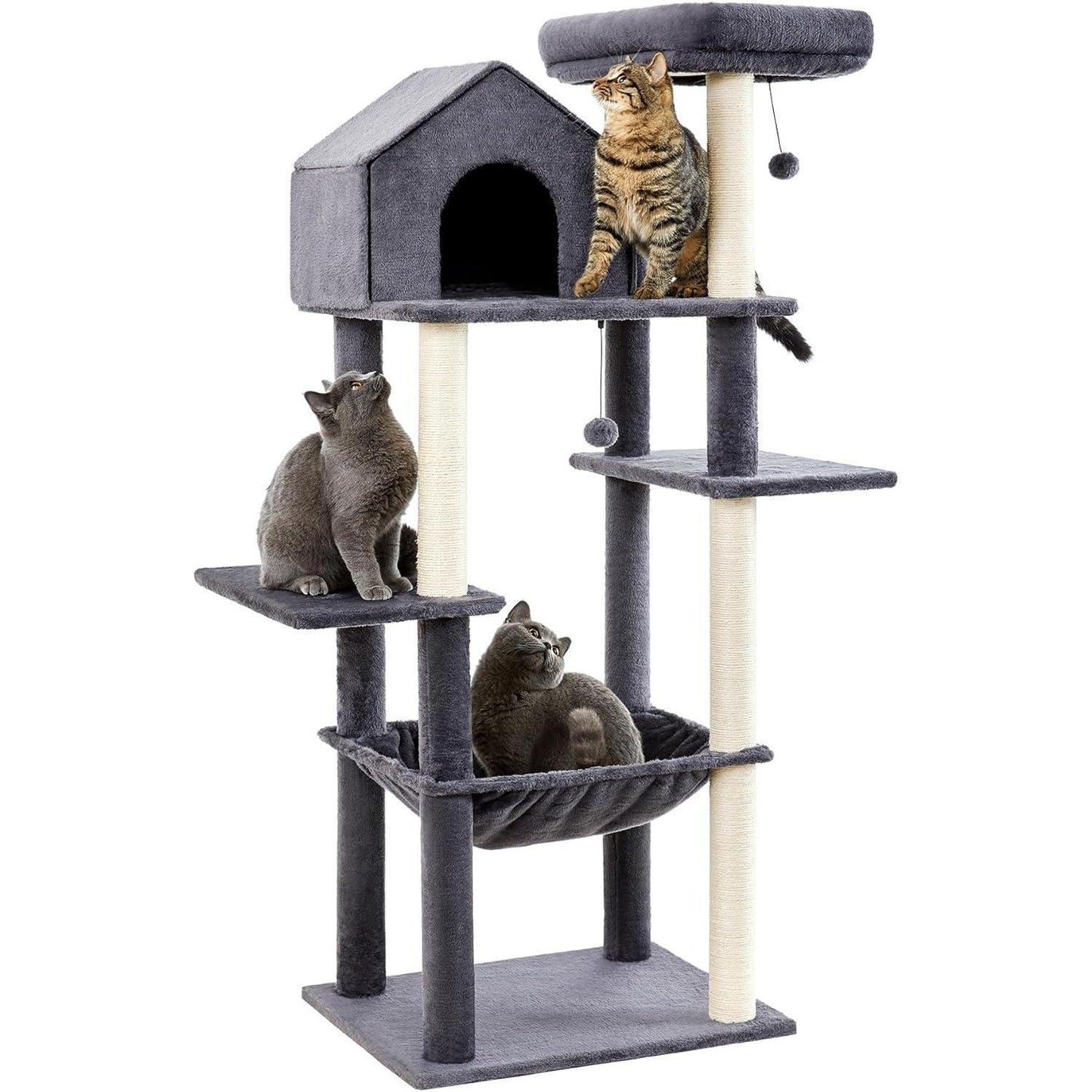 60-Inch Multi-Level Cat Tree