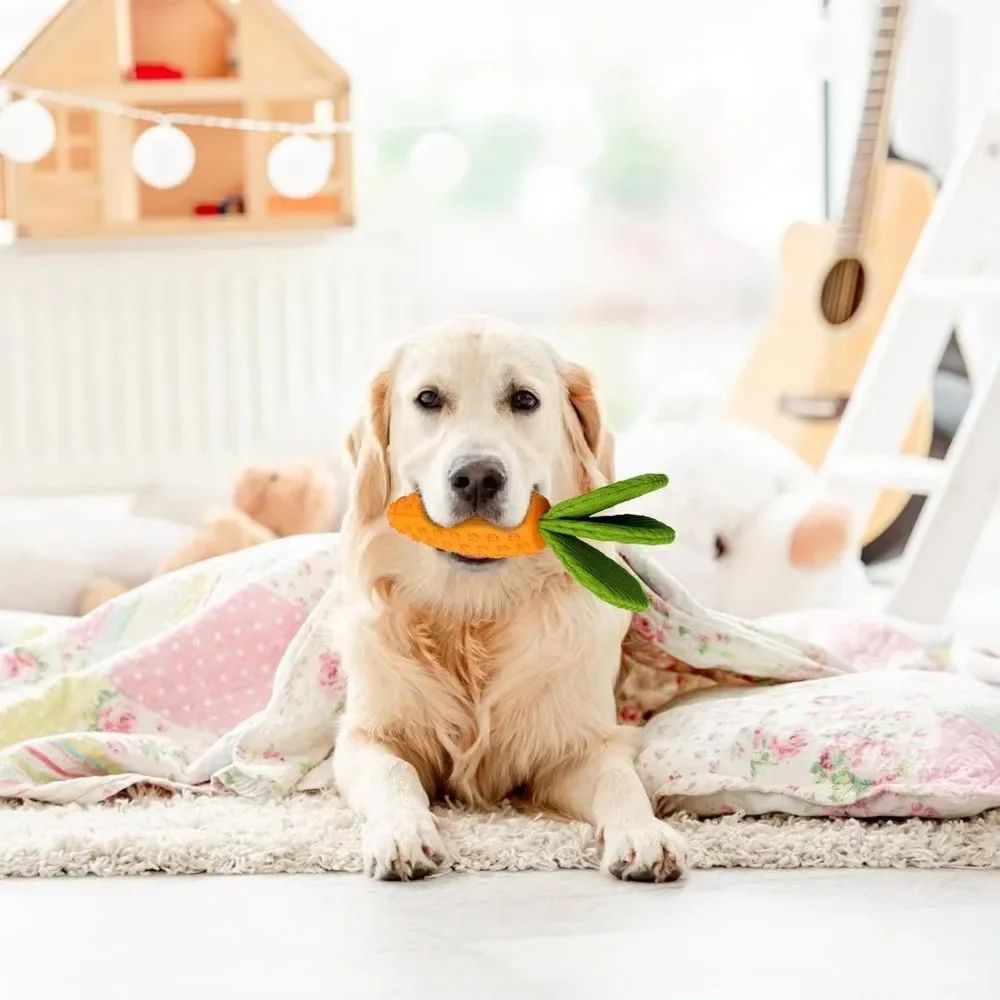 Carrot Dog Chew Toy