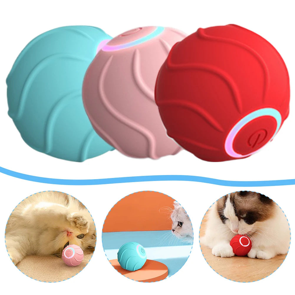 Smart Bouncing Cat Ball