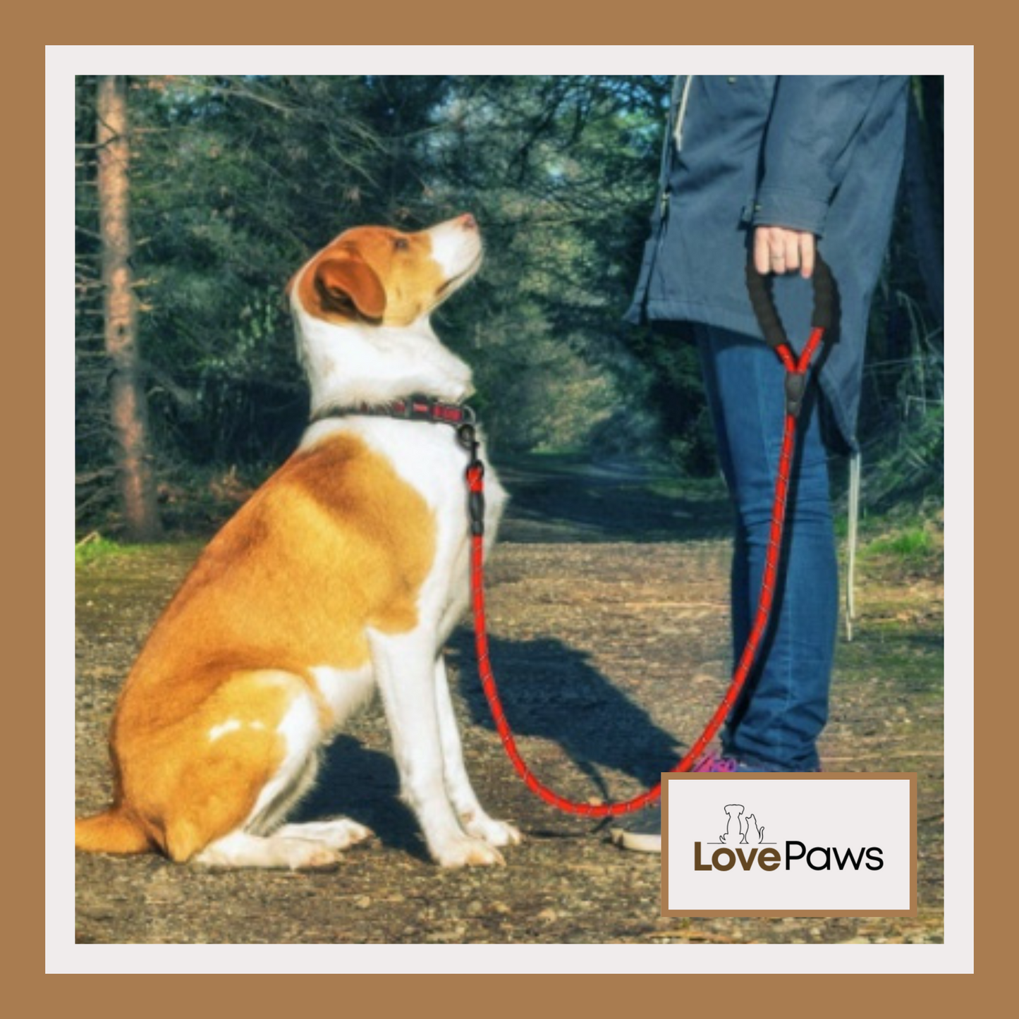 Reflective Dog Leash – Nylon Rope