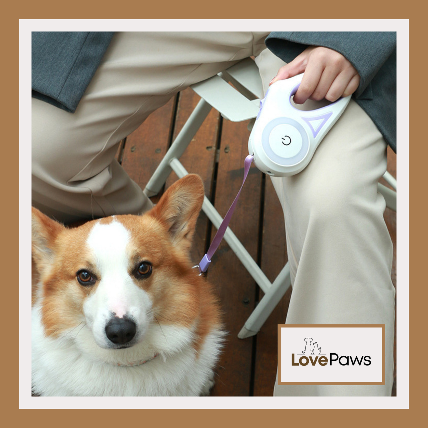 Retractable Dog Leash with Optional Collar
