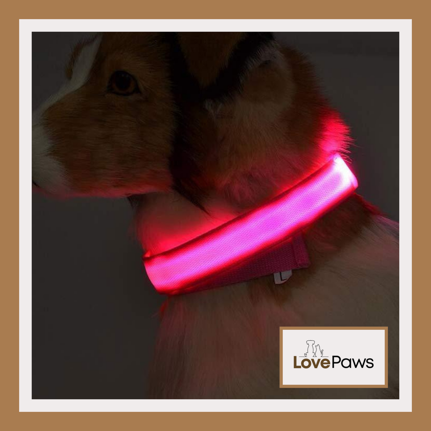 LED Light-Up Nylon Collar