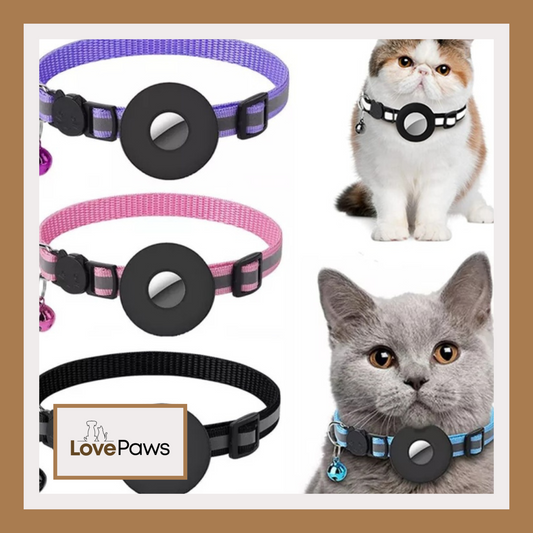 Reflective Nylon Collar with AirTag Holder