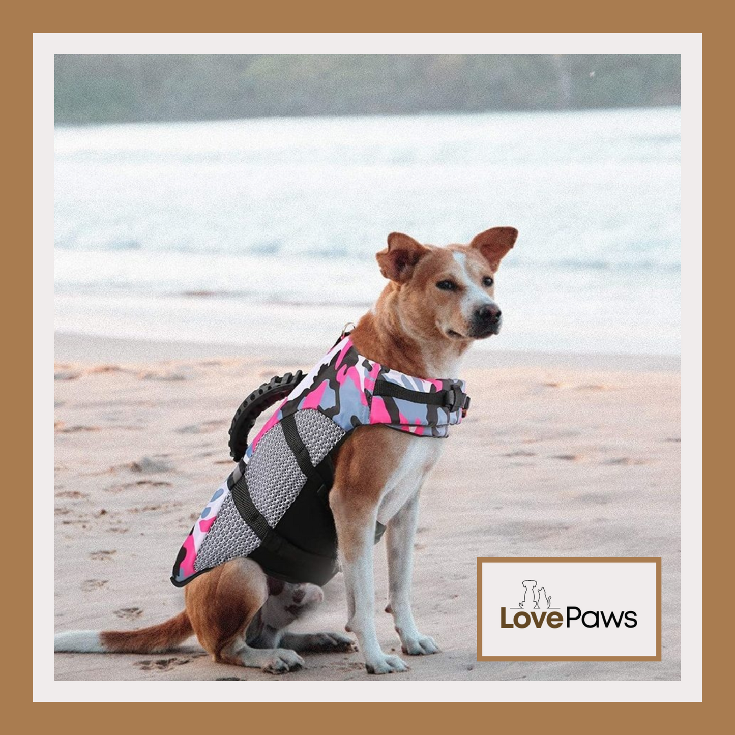 Fashion Outdoor Dog Life Jacket