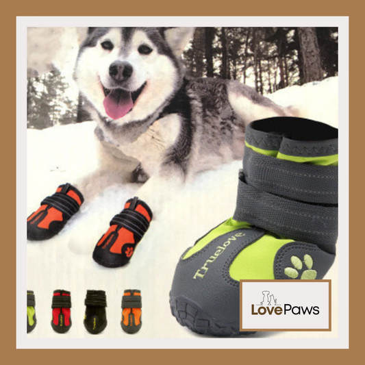 Waterproof Non-Slip Shoes for Large Dogs