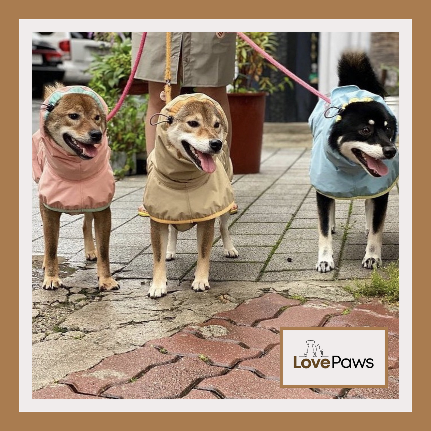 Spliced Dog Raincoat