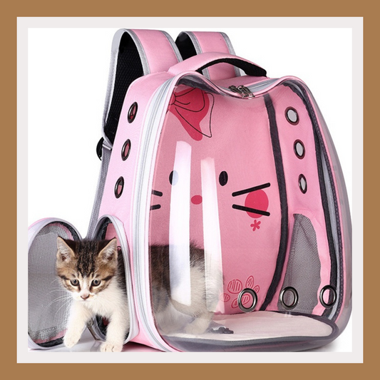 Pet Space Capsule Backpack Carrier